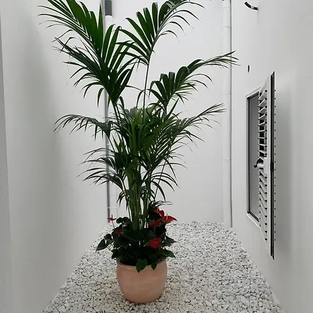 Pueblo N11 Agaete (Gran Canaria)