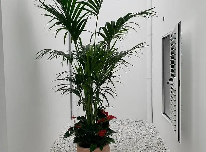 Pueblo N11 Agaete (Gran Canaria)