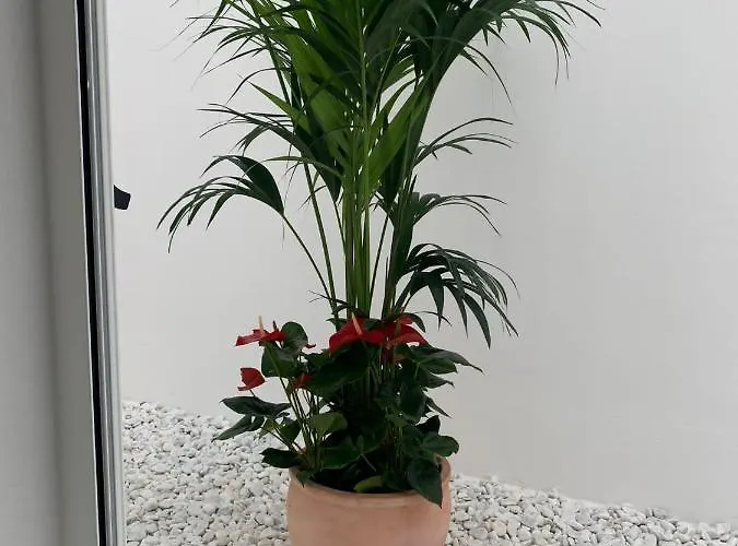 Pueblo N11 Appartamento